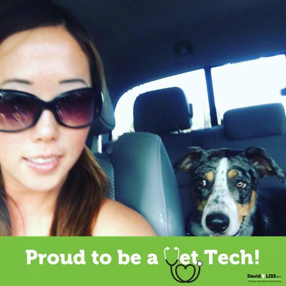 Meet your Posher, Sophie - Picture 1 of 1